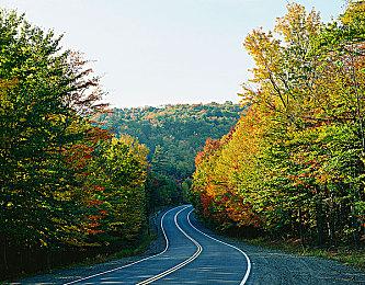 2023年科隆展开幕之夜时间公开 8月22日举行